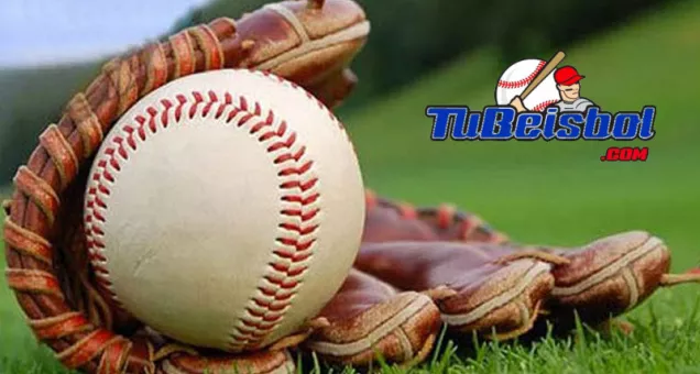 Administrador de torneos para TuBeisbol.com